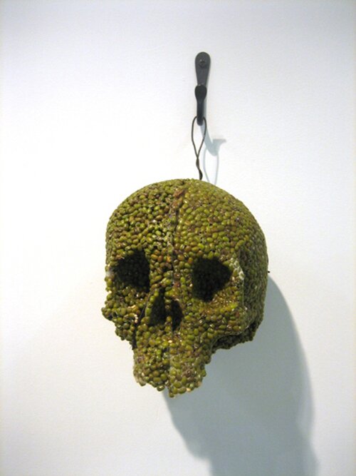 green mung bean skull