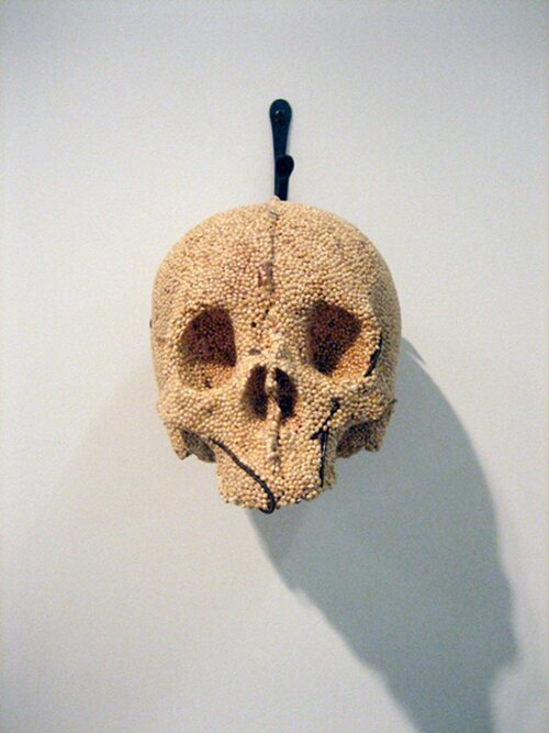millet seed skull