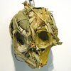 bamboo skull