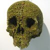 green mung bean skull