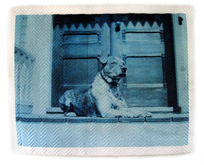 blanket with blue dog image