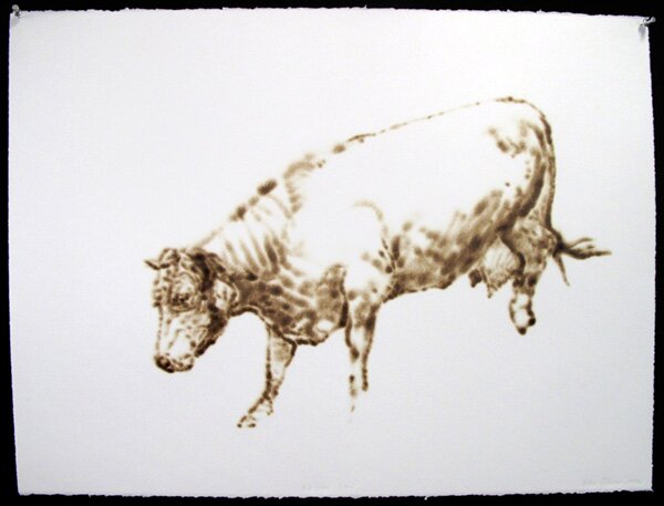 torch drawing of Hillside Cow 2012