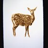 torch drawing of spotted deer